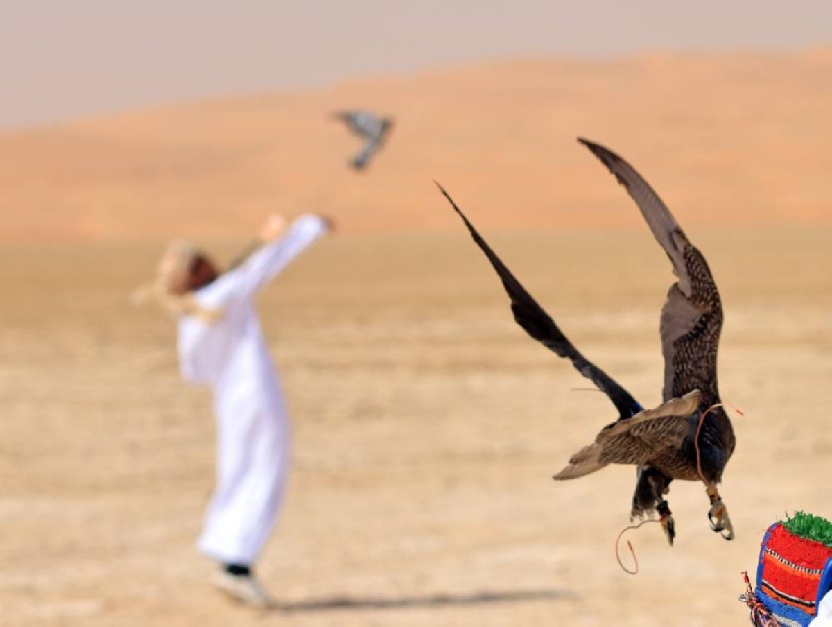 انطلاق بطولة «هدد الحمام» ضمن فعاليات مهرجان ليوا الدولي 2026 غداً