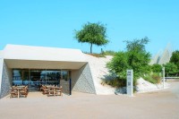 متحف زايد الوطني يعلن افتتاح 3 مقاهٍ إماراتية في حديقة المسار