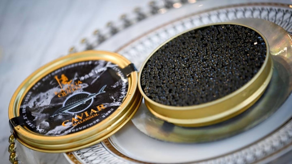 من «الكافيار» إلى كبد الإوز.. الصين تصبح قوة عظمى في عالم الأغذية الفاخرة