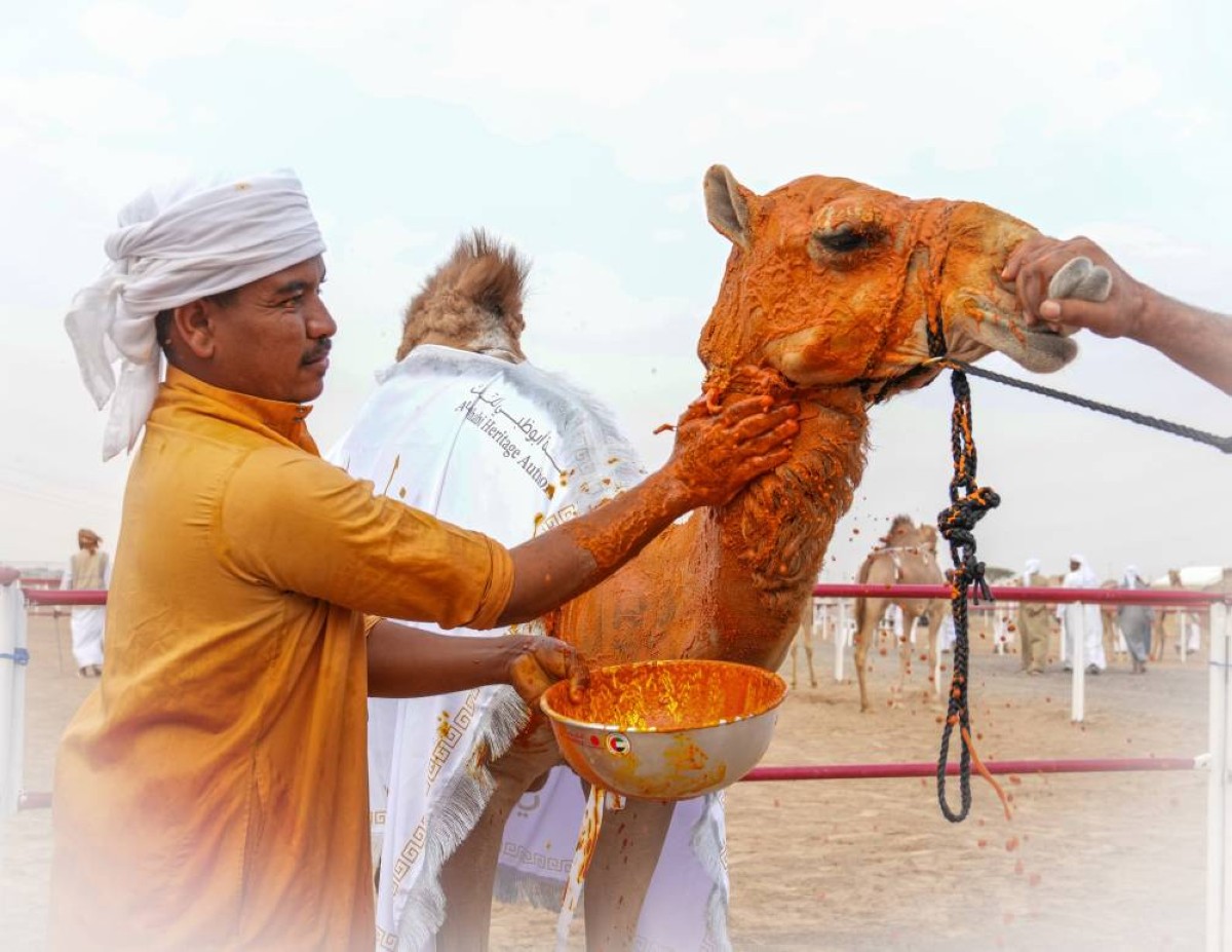 مهرجان محمد بن زايد لسباقات الهجن بالذيد يتوج الفائزين بمزاينة المفاريد