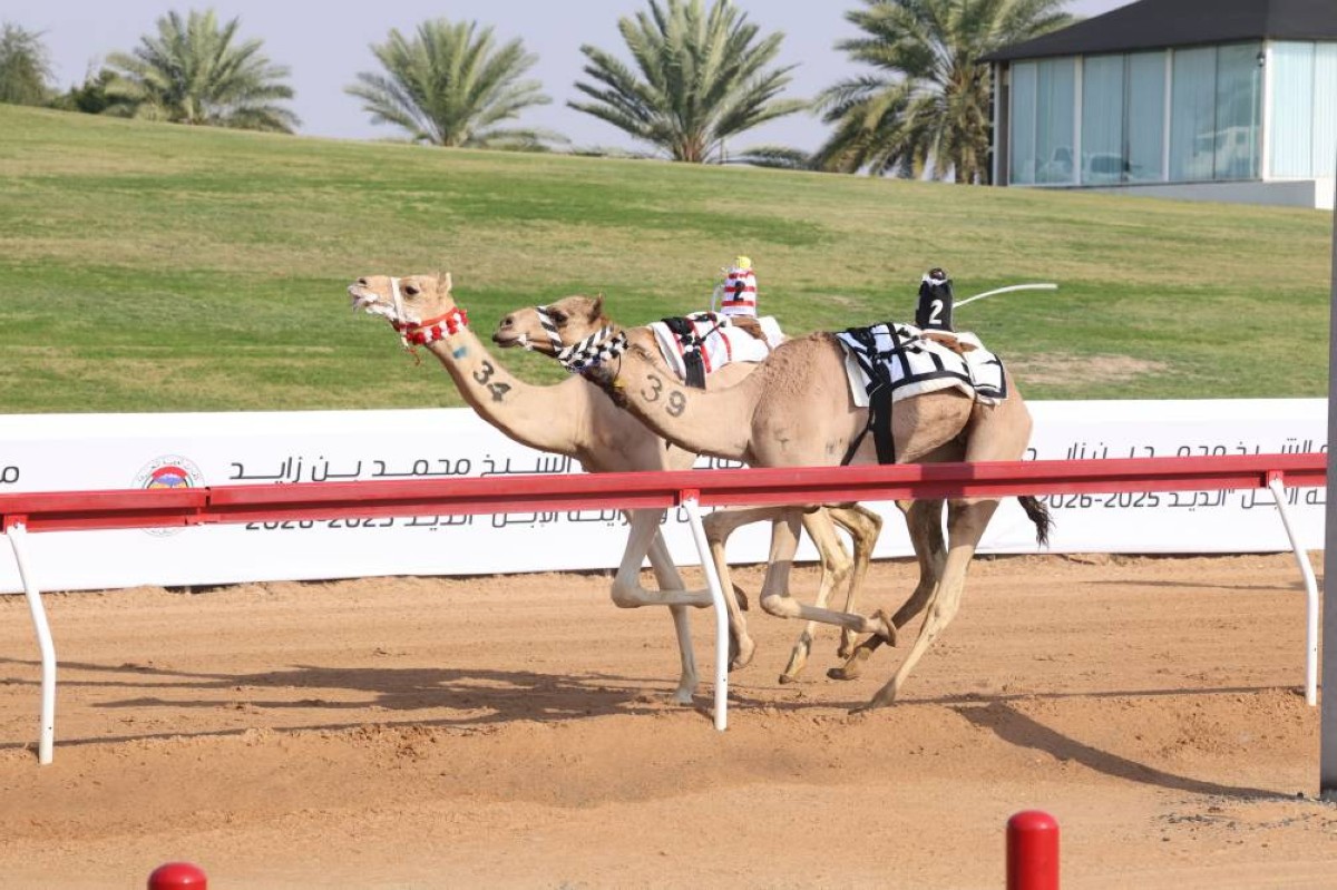 "معراب" و"موفق" يحصدان كأس وبندقية اللقايا في مهرجان محمد بن زايد لسباقات الهجن