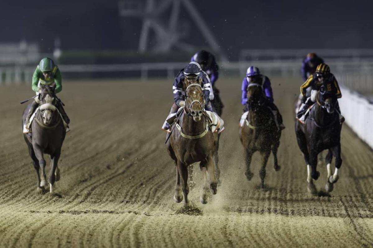 صراع مثير على لقبي «زعبيل للميل» و«دباوي ستيكس» في ميدان