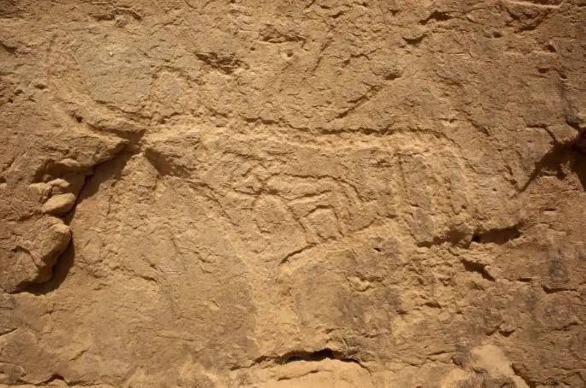 لوحة إعلانية من فجر التاريخ.. أقدم رسالة ملكية منحوتة على صخور مصر