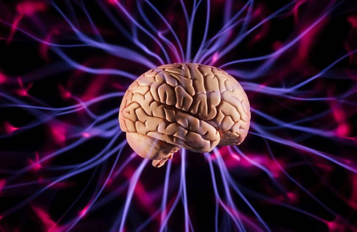 مستوى تناغم «المادة البيضاء» في أدمغتنا يتحكم بكفاءة أدائنا الذهني