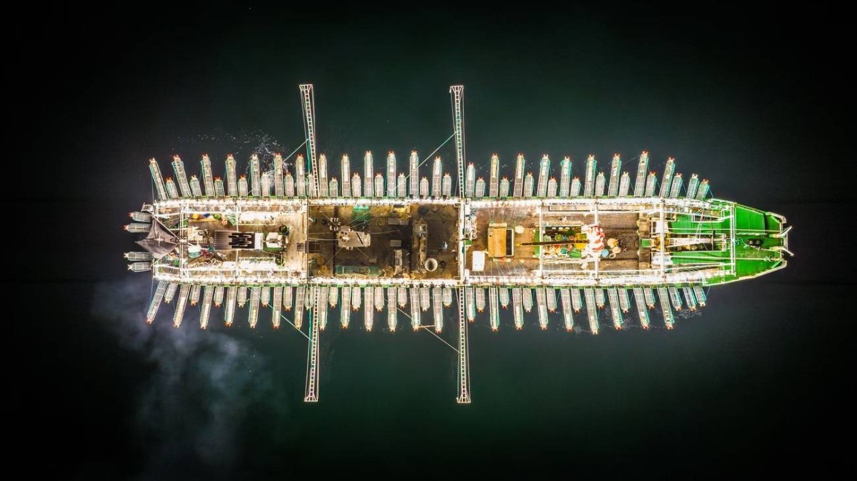 أسطول ضخم لصيد الحبار ينهب أعالي البحار.. وتحذيرات من كارثة بيئية