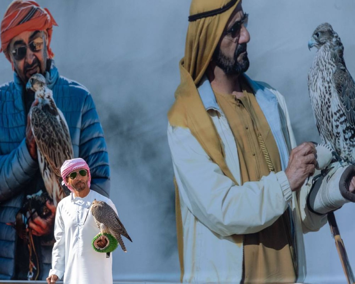 أكثر من 1000 طير في انطلاق أشواط «العامة مفتوح» لبطولة فزاع للصيد بالصقور