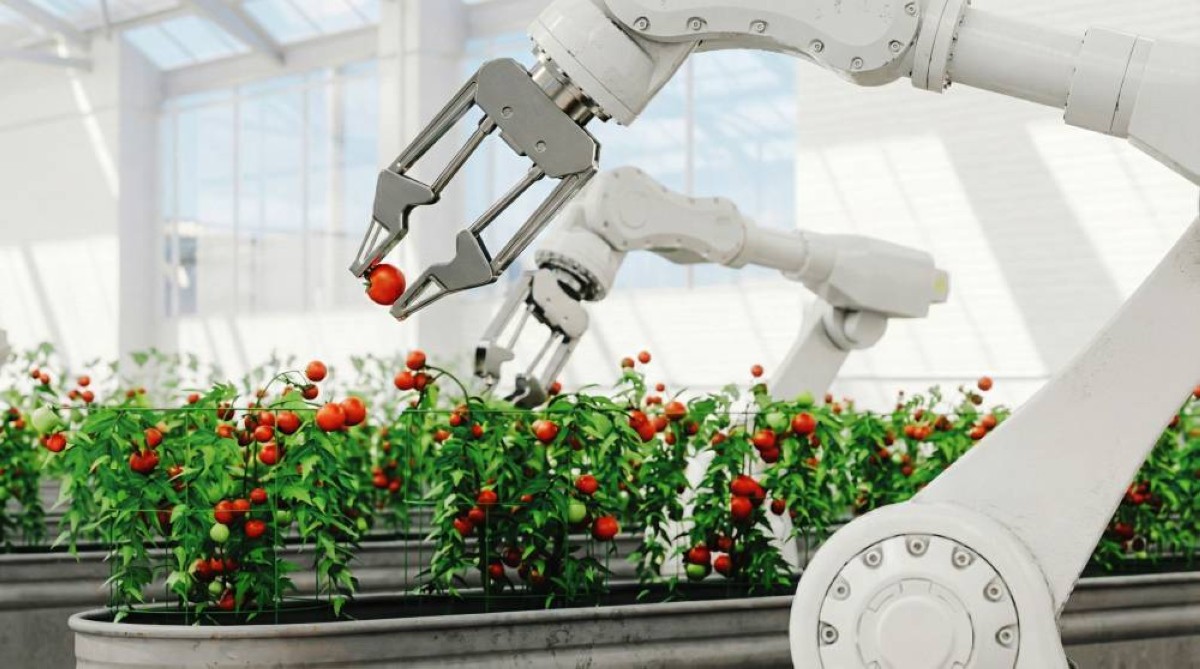 أبوظبي تستقبل المتأهلين لنهائيات "تحدي تكنولوجيا الغذاء في الإمارات"‏