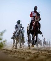 كأس محمد بن راشد للقدرة يجمع نخبة فرسان العالم في دبي