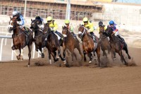 91 خيلاً في أمسية سباق الوصل على مضمار جبل علي