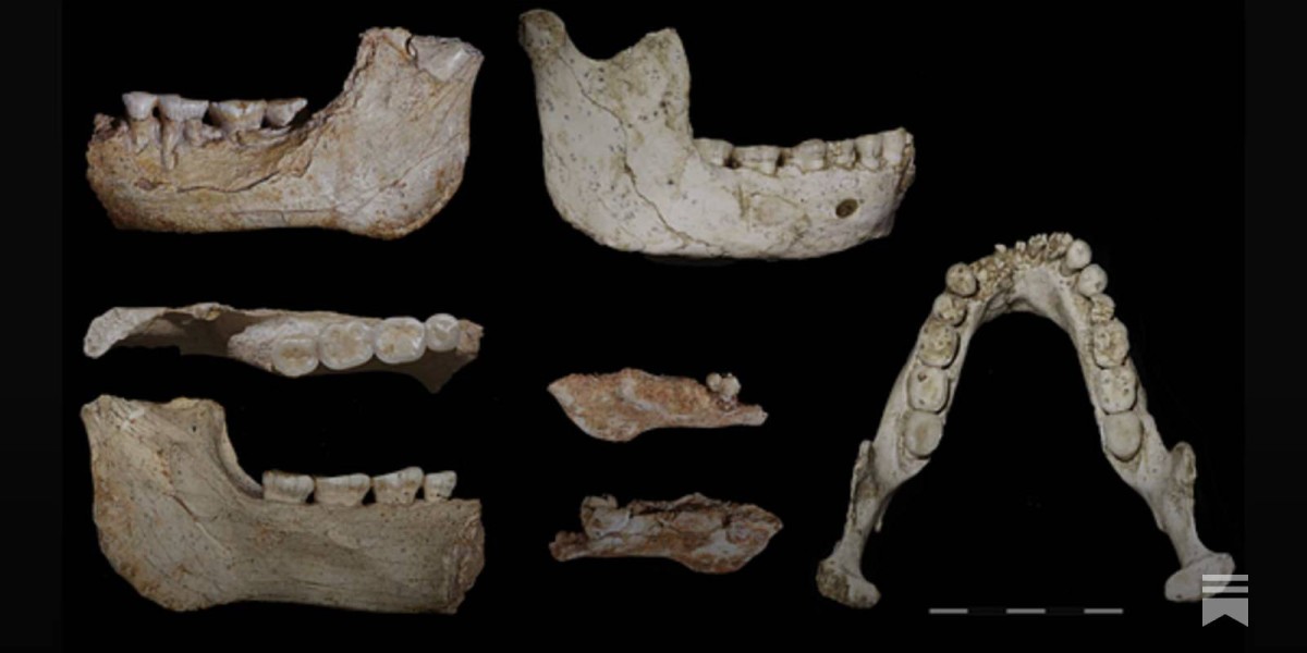 اكتشاف بقايا حفريات بشرية في المغرب عمرها 773 ألف عام