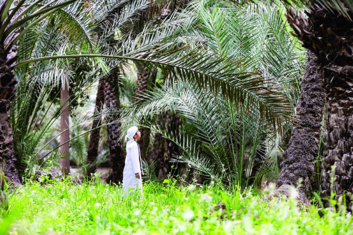 الواحات وجهة سياحية وثقافية تعكس غناها الطبيعي