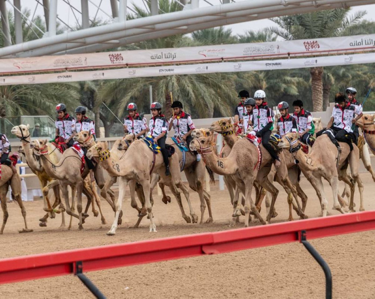 ختام مميز لماراثون اليوم الوطني للهجن بمشاركة قياسية لـ 66 متسابقاً