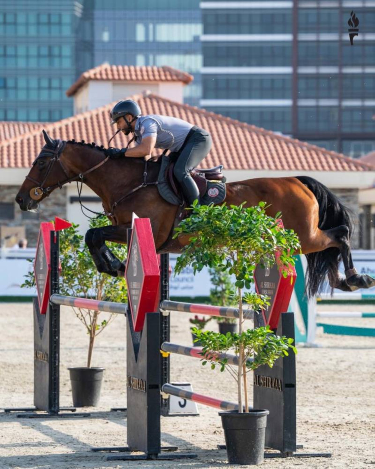 مشاركة مميزة للفرسان في كأس أكاديمية فاطمة بنت مبارك الدولية لقفز الحواجز