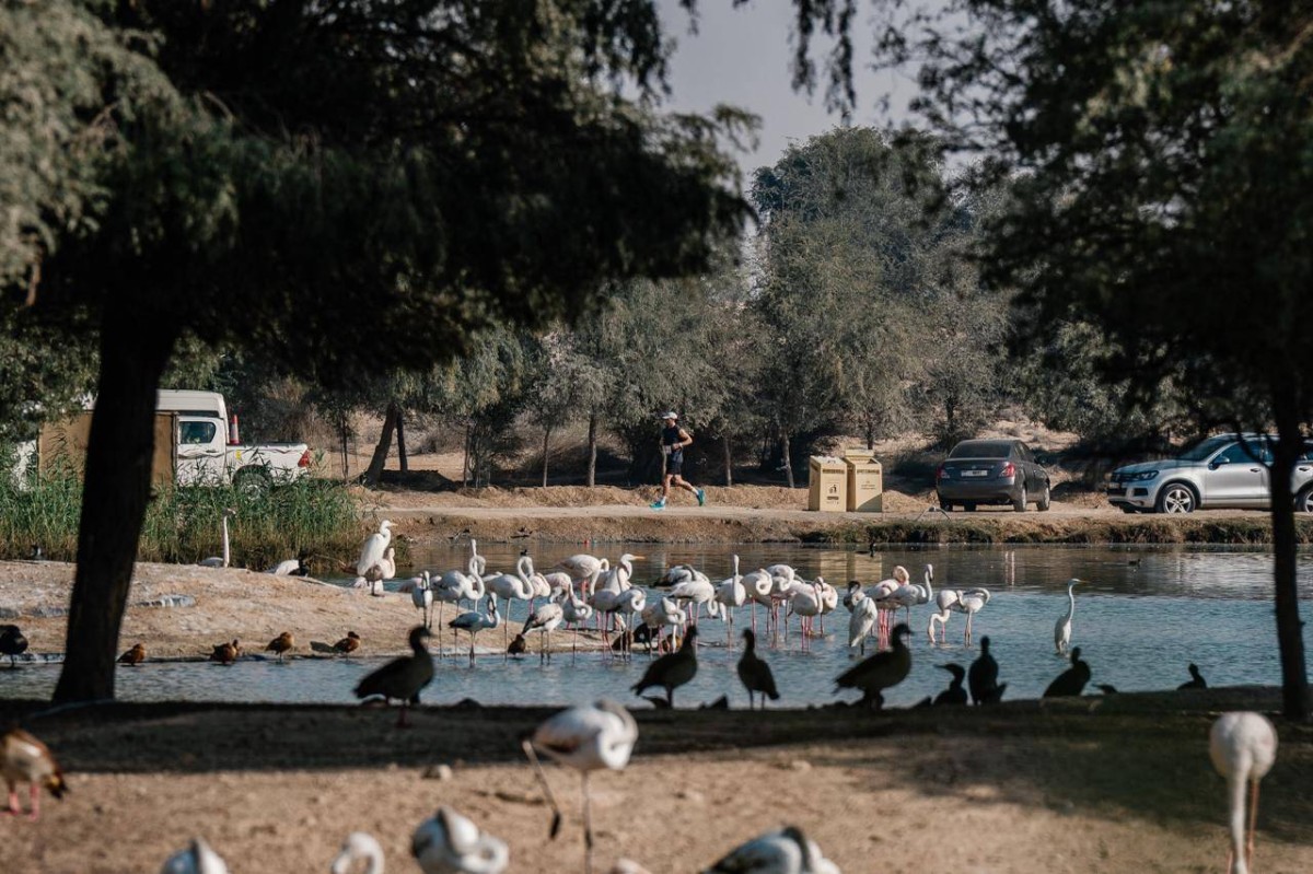 «هود تو كوست دبي 2026» 