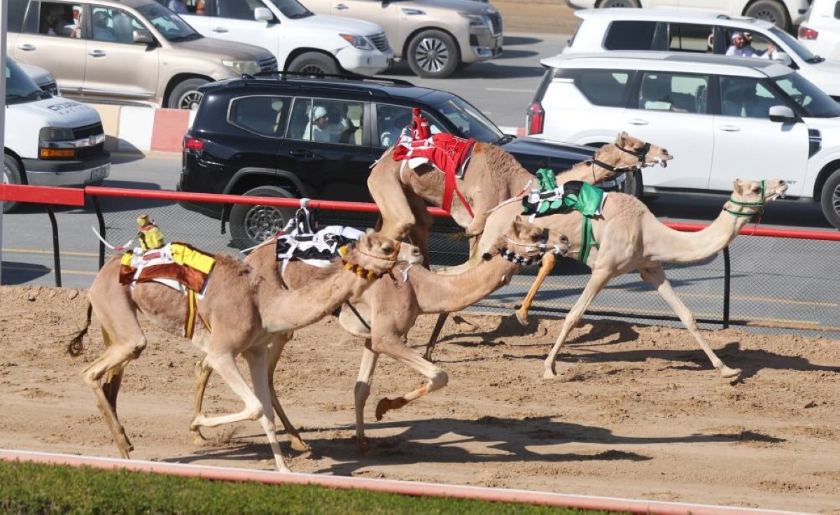 «معراض» بطلة كأس ولي عهد دبي للقايا «المفتوح»