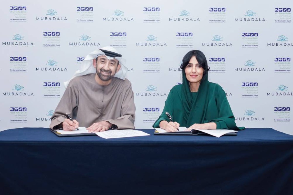 مبادرة لحماية أبقار البحر وموائل الأعشاب البحرية داخل الإمارات وخارجها
