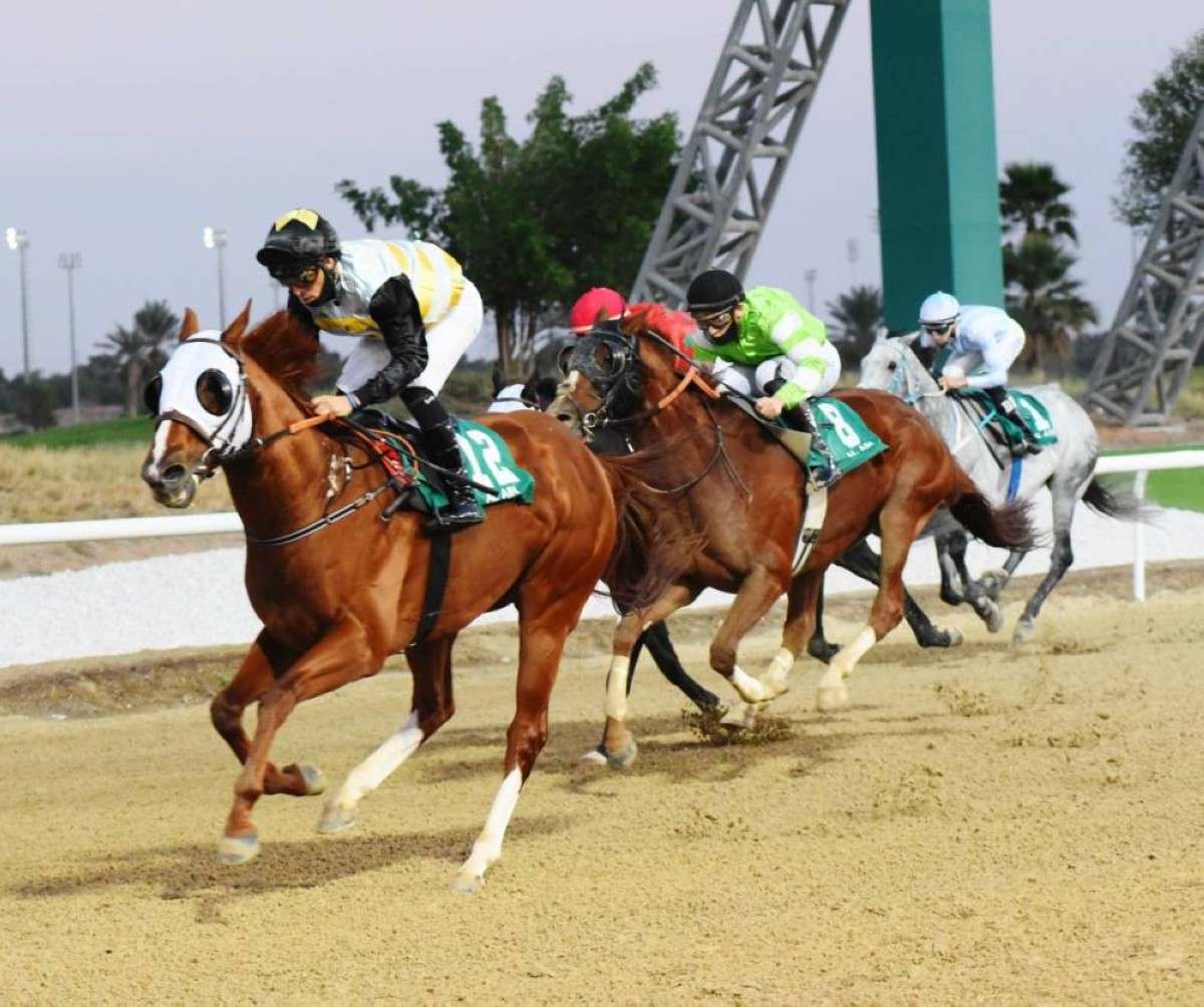 خيول النخبة في سباق القوة والتحمل بأولى جولات ماراثون العين