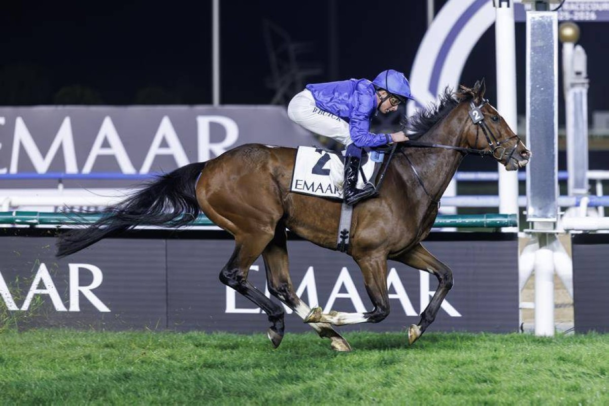 مواجهات عالمية مرتقبة في «دبي ميلينيوم» و«ماوج ستيكس» بميدان