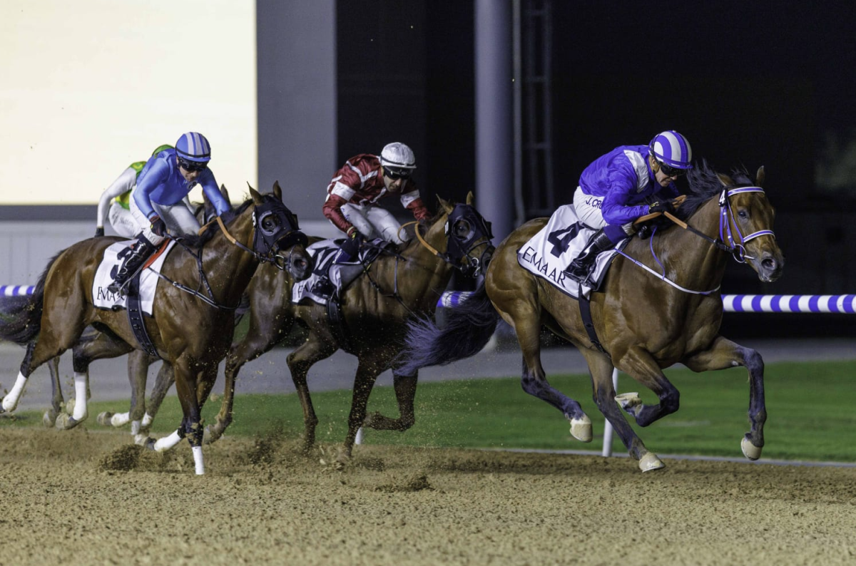 111 خيلاً تتنافس في الأمسية الـ «10» لكرنفال سباقات دبي على مضمار «ميدان»