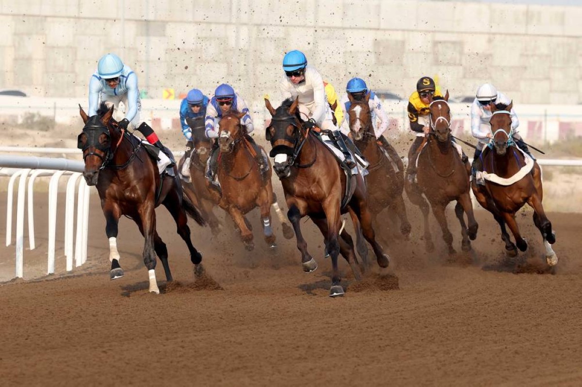 مضمار جبل علي يستضيف «يوم السباقات الإيرلندية» في الحفل الثامن