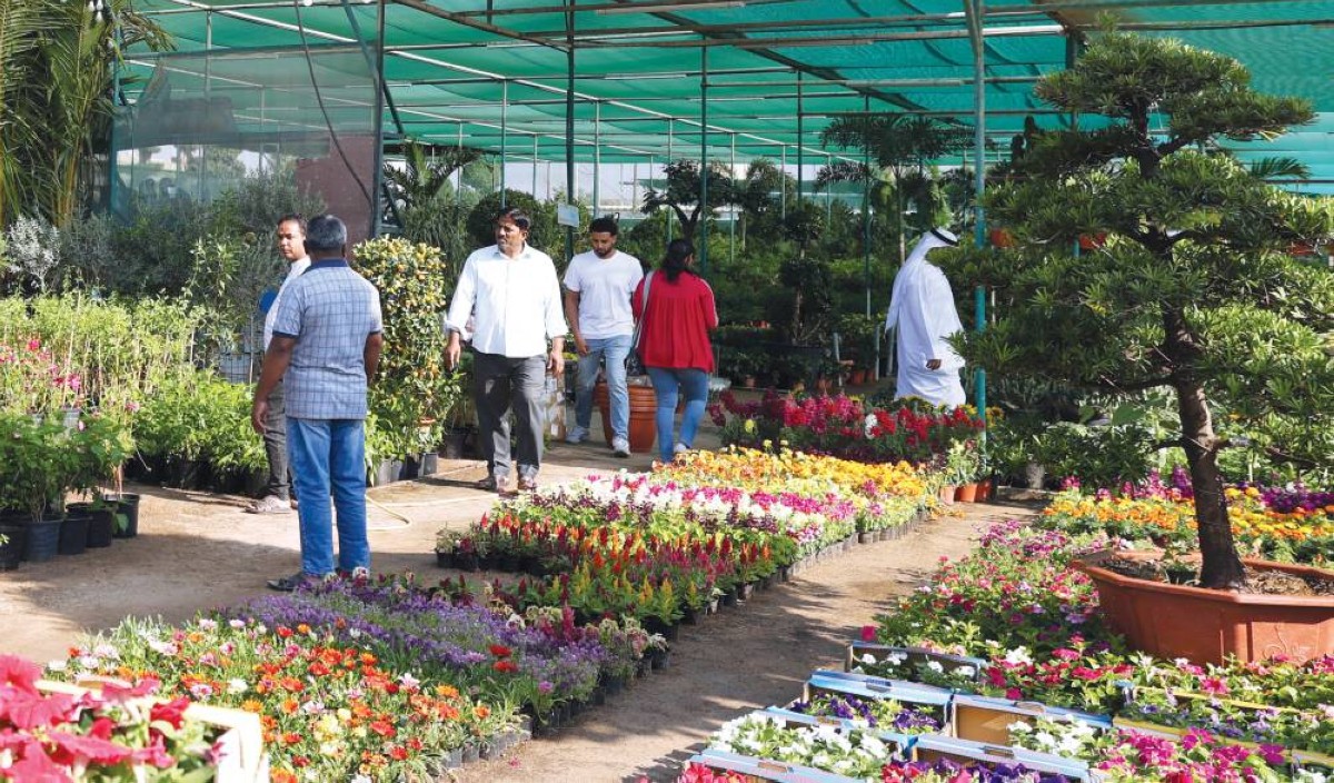 باستخدام الروبوتات.. مشاتل بلدية دبي تنتج 15 ألف نبتة في الساعة