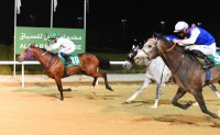 9 أشواط مثيرة تجمع النخبة والمبتدئة في ثامن سباقات مضمار العين