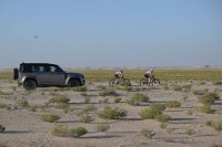 محمد بن راشد يشهد جانباً من ختام سباق السيدات الصحراوي ضمن منافسات بطولة السلم للدراجات الهوائية