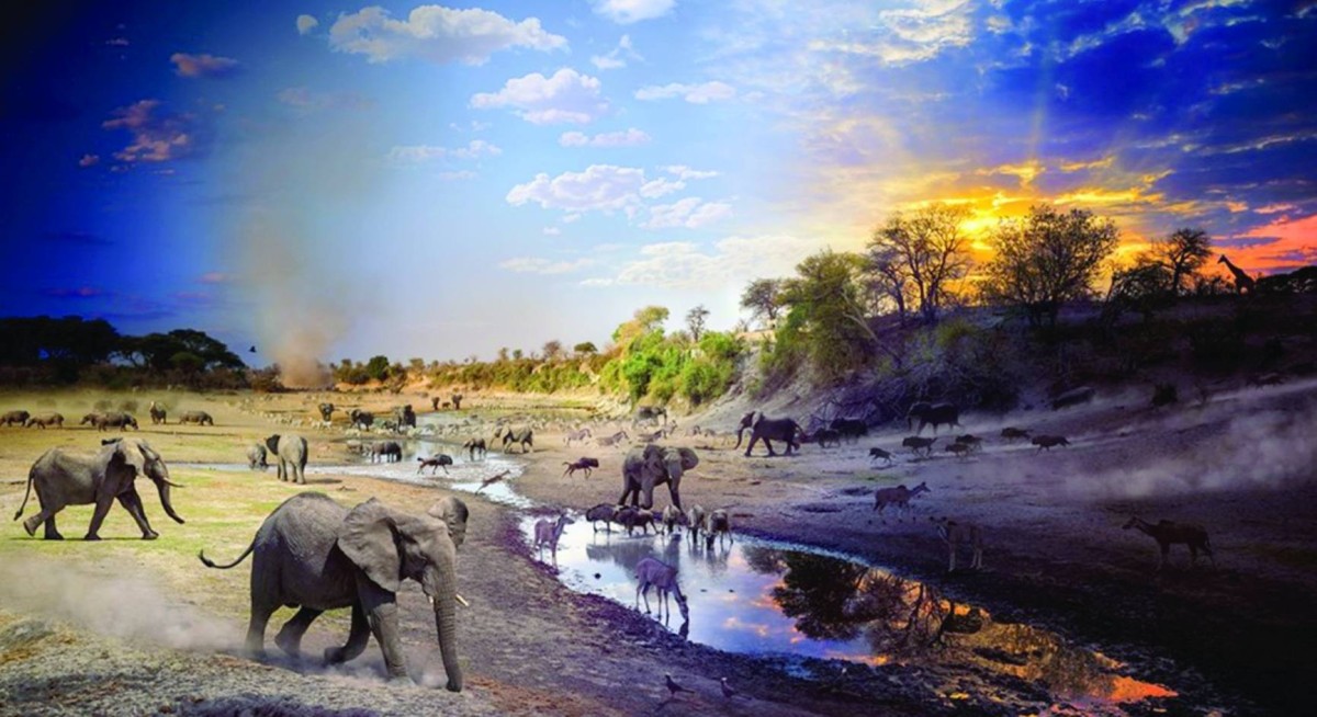 صراع البقاء.. رسائل إلى الإنسان