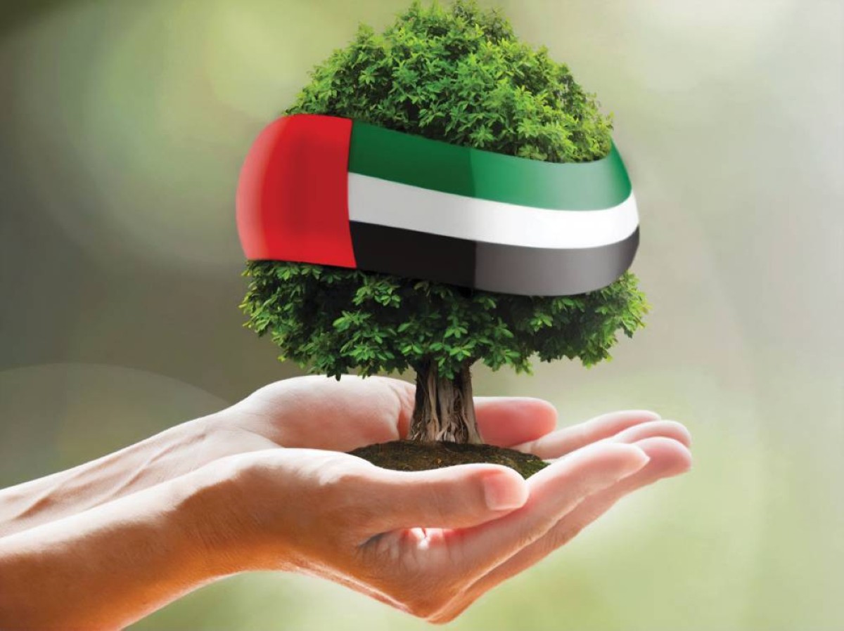 جهود حثيثة للحفاظ على الموارد الطبيعية