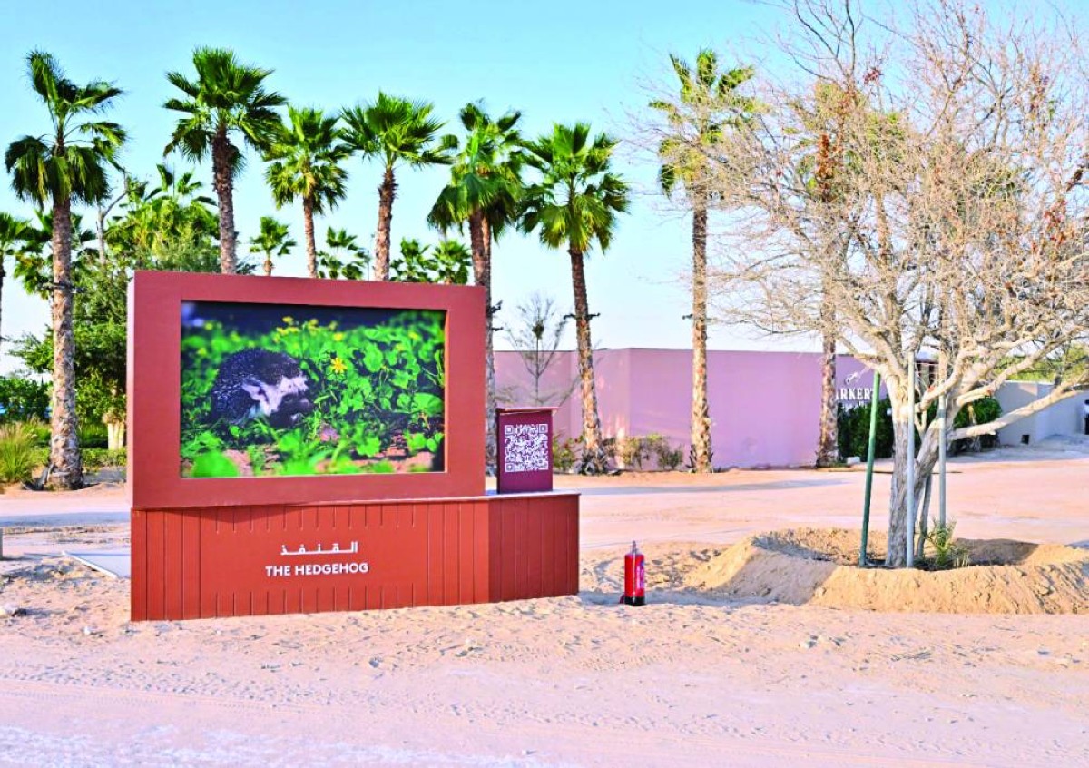  من أعمال المعرض في محمية المرموم 