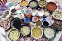 حمامة الطنيجي..أيقونة الطب الشعبي في الإمارات