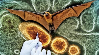 هل يكفي فحص المطارات لإيقاف «جائحة فيروس نيباه» المحتملة؟