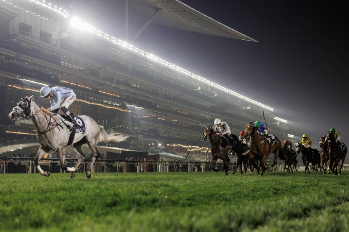 الأمسية 11 من كرنفال سباقات دبي.. «ديسبريت هيرو» يتألق في ميدان و«نورثرن تشامبيون» بطلاً لـ «دبي تروفي»