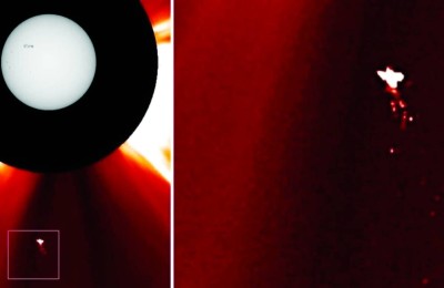 جسم غامض شبيه بالطير