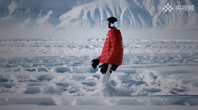 في درجة حرارة 47 تحت الصفر.. روبوت صيني يقطع 130 ألف خطوة على الجليد