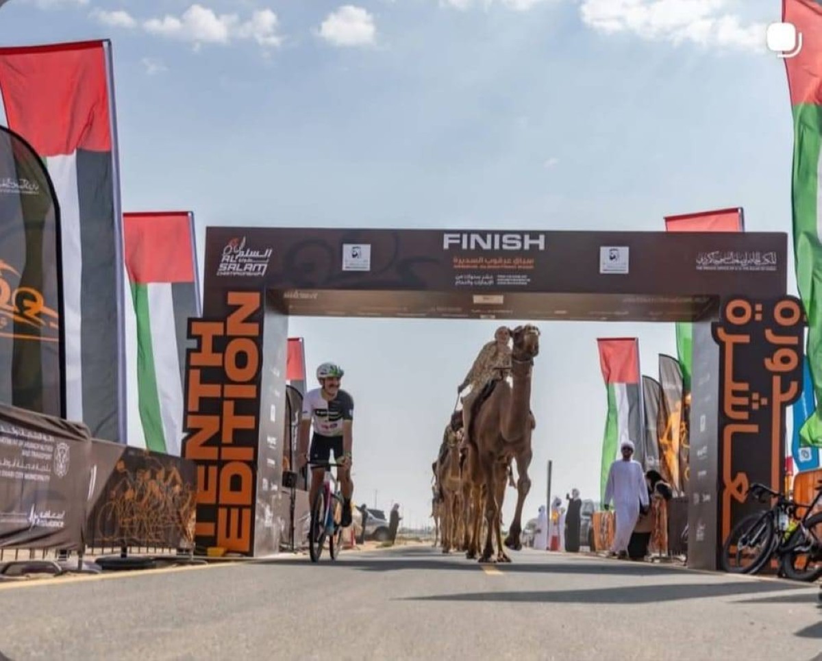 دراج وقافلة الجِمال... مشهد واحد يروي سحر دبي