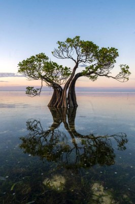 نار "النينو" تضرب الأرض.. تحذيرات من كارثة مناخية تهدد الملايين في بداية 2027