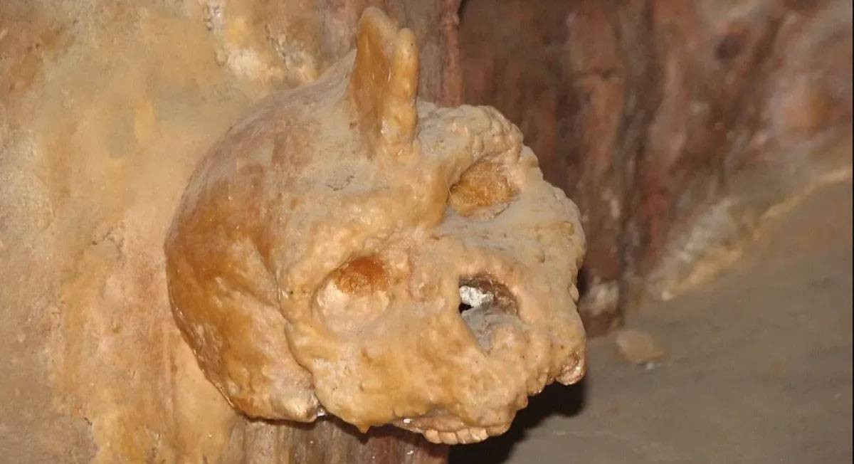 جمجمة الكهف.. لغز بشري عمره 300 ألف عام يحير العلماء