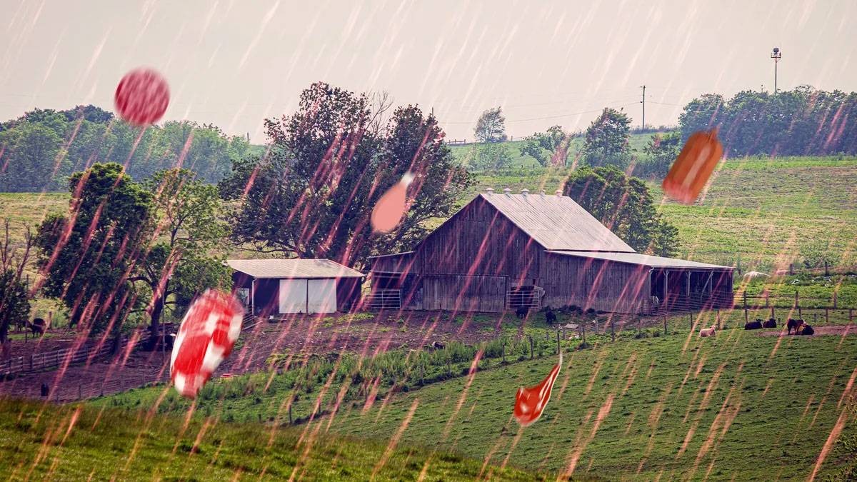 أمطار لحوم في كنتاكي.. لغز تاريخي أربك أمريكا