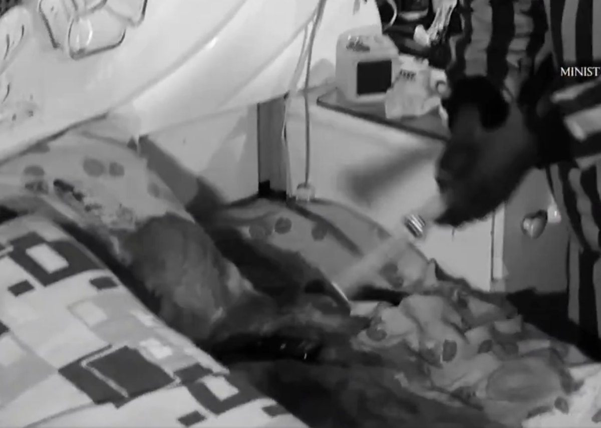 فيديو.. "العدل السورية" تنشر مشاهد تمثيل مقتل الفنانة هدى شعراوي على يد خادمتها