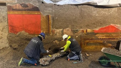 لوحات جدارية نادرة