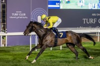 «مضمار أبوظبي» للسباق يتوج الفائزين في السباق العاشر للخيول