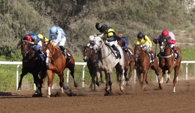 أمسية مثيرة في المضمار الأصفر.. «مصمك» و«ديفيد أوف أثينز» يتقاسمان لقب «جبل علي مايل».. و«ملزوم» بطل الافتتاح