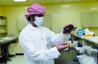 استعادة جودة التجربة التعليمية تتصدر أولويات التعليم العالي