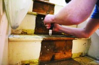 صفحات جريدة أقدم من «تيتانك» في كوخ قديم