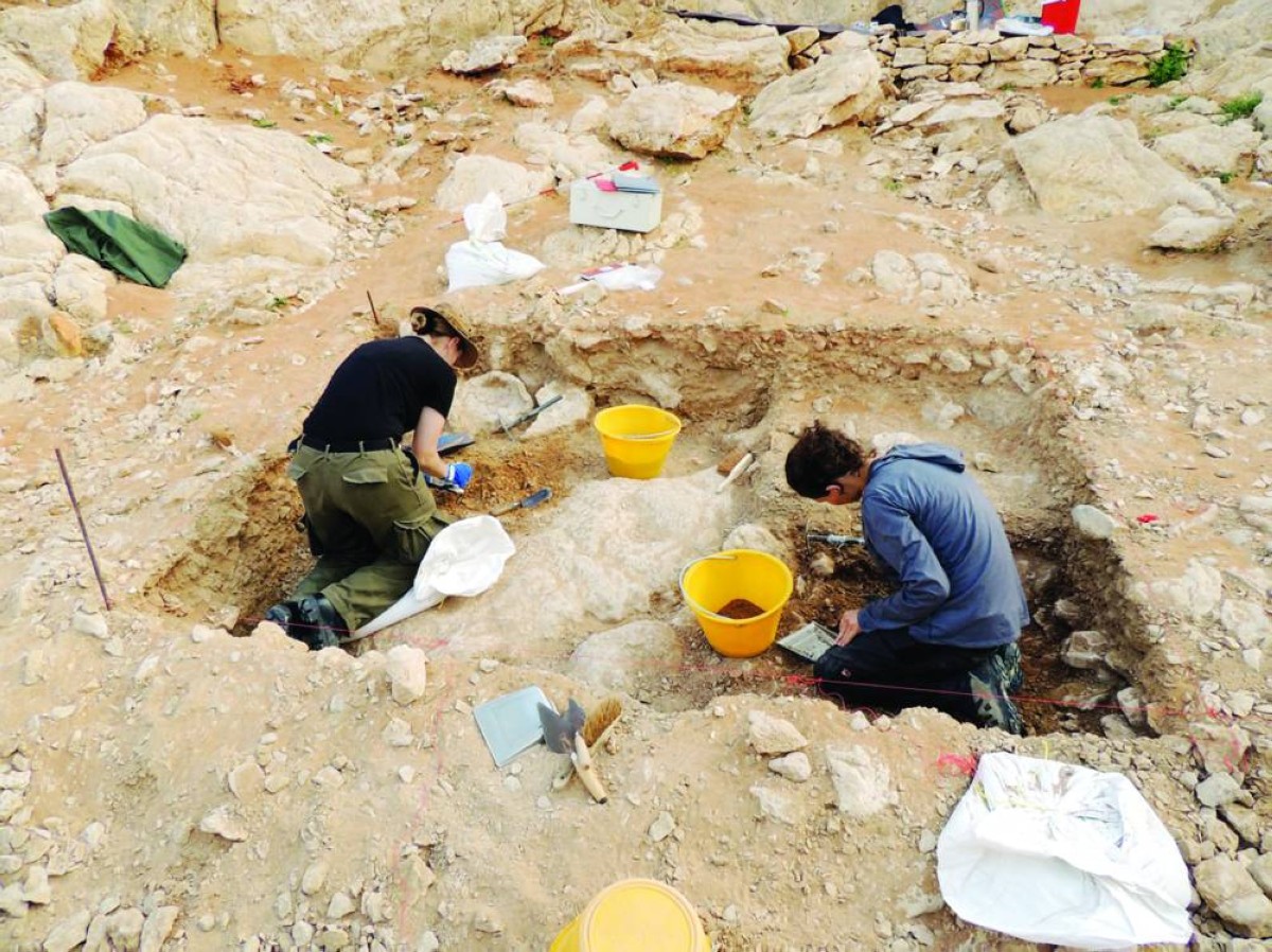 المنحة تدعم العمل العلمي المنهجي