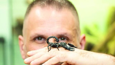 الذكاء الاصطناعي يكشف «بؤر» العقارب القاتلة