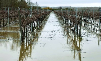 فيضانات البحر الأبيض المتوسط تثير المخاوف من ارتفاع أسعار الغذاء