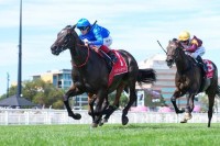 «بيريكليس» لجودلفين يحقق إنجازاً بأستراليا ويحصد فوزه الثامن