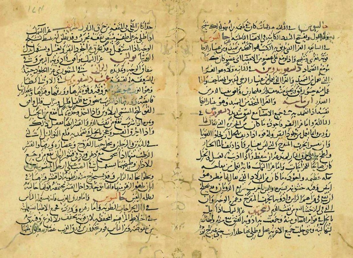 نسخة من مخطوطة ابن البيطار بخط النسخ